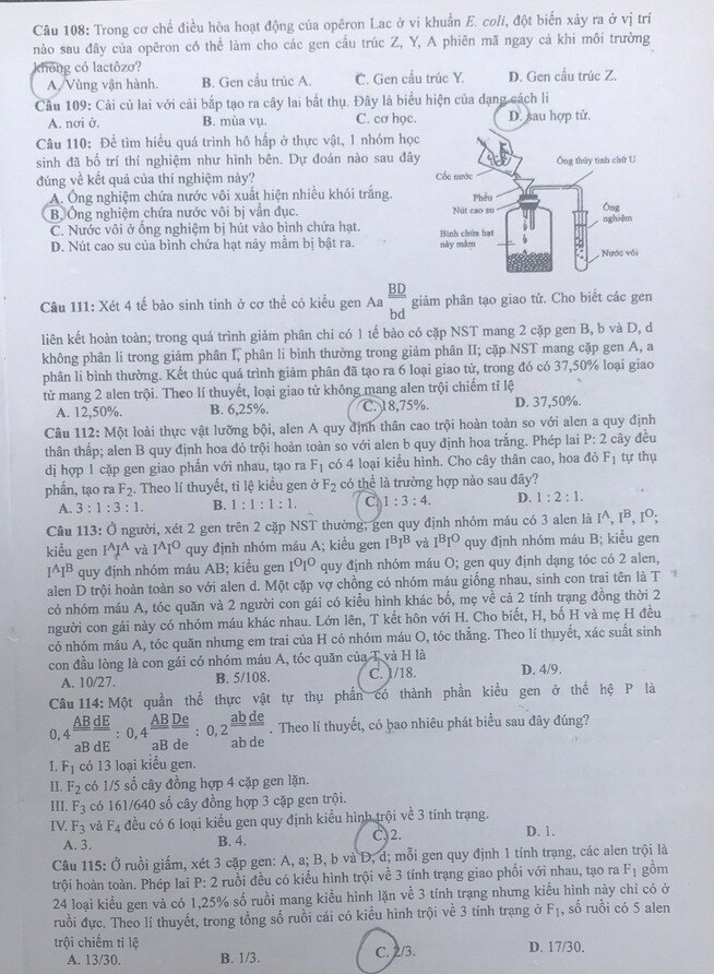 Đề thi môn Sinh học kỳ thi tốt nghiệp THPT 2021 &#40;Full mã đề&#41; - 7