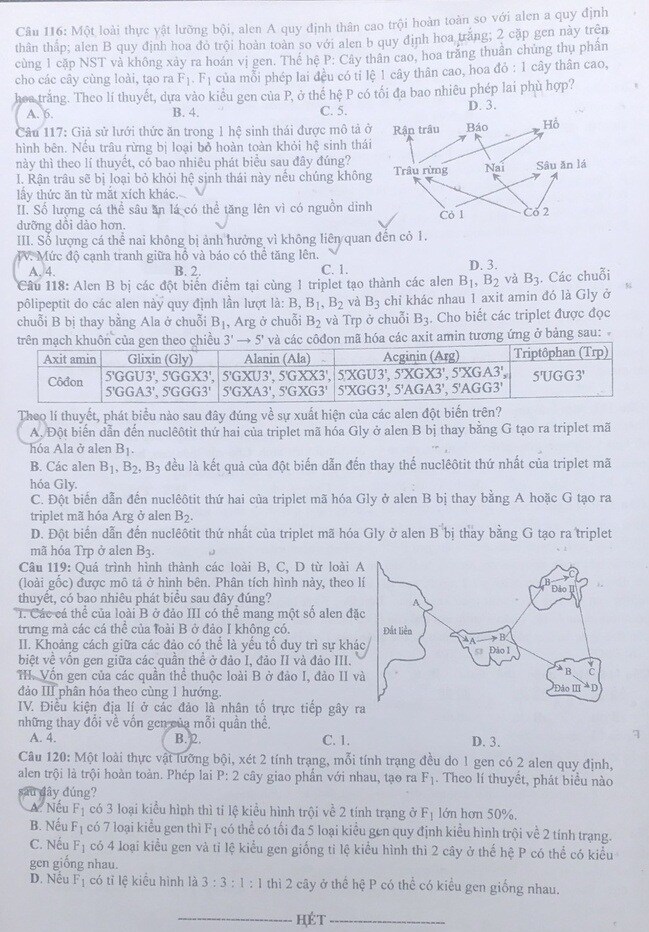 Đề thi môn Sinh học kỳ thi tốt nghiệp THPT 2021 &#40;Full mã đề&#41; - 8