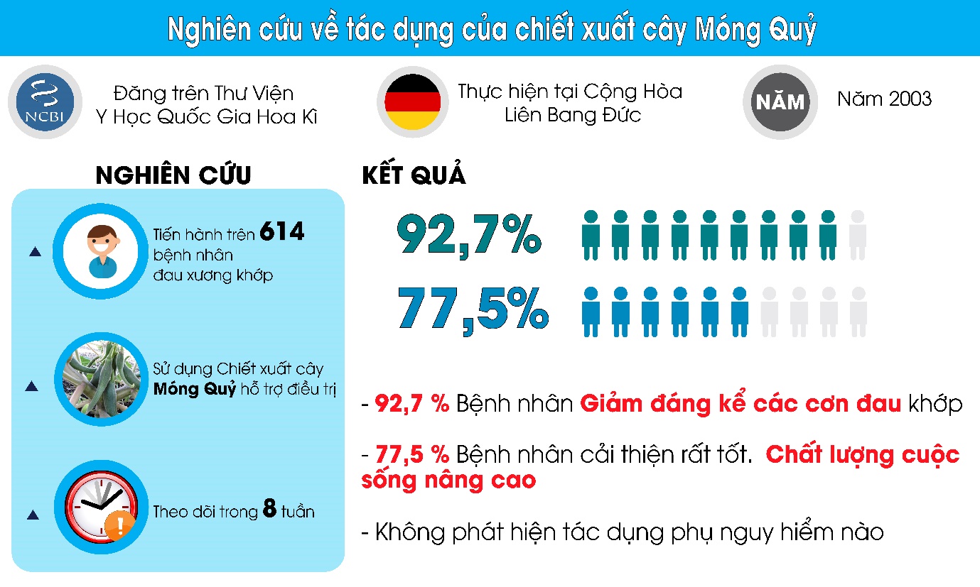 Phát hiện loài cây lạ ở Nam Phi giúp giảm đau nhức gối dai dẳng cực kỳ nhạy - 4