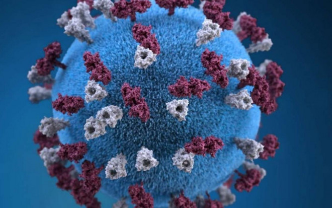 Hình ảnh virus SARS-CoV-2. Ảnh: AP
