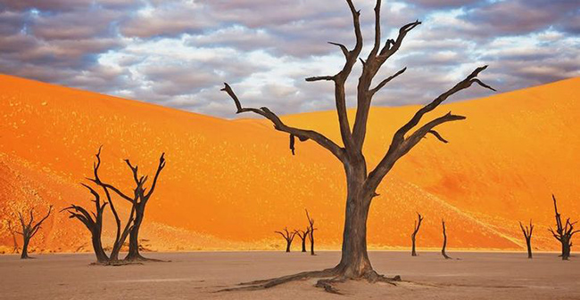 Namib Naukluft của Namibia: Đây là một trong những sa mạc lớn nhất trên thế giới, trải dài bằng kích thước của một số nước châu Âu như Thụy Sĩ. Bên cạnh kích thước khổng lồ thì màu cam mê hoặc tạo nên sa mạc này cũng là thứ kéo du khách tới thăm.
