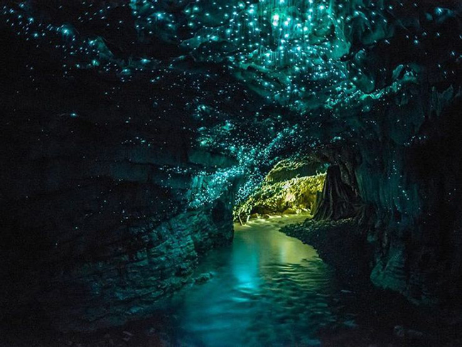 Hang động Waitomo Glowworm ở New Zealand: Hang động nằm ở New Zealand này phát ra ánh sáng rất kỳ lạ, nhưng chúng xuất phát từ tự nhiên và là kết quả của một loại sinh vật sống trong hang động có biệt danh là &#34;giun phát sáng&#34;.&nbsp;
