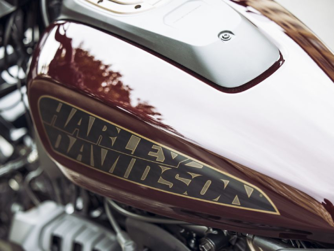 Mô tô 2021 Harley-Davidson Sportster S hiện nguyên hình, nhìn cực khủng - 11