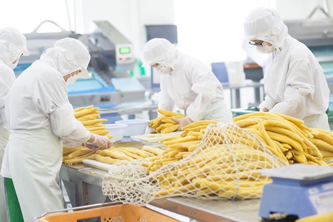 Củ cải muối của Nhật Bản được nhập về Việt Nam giá từ 250.000 đồng - 500.000 đồng/kg.
