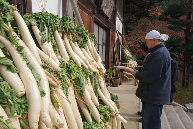 Năm 2015, củ cải trắng  được Bộ Y Tế, Lao Động và Phúc Lợi Nhật Bản xướng tên là món rau củ được người Nhật yêu thích nhất.
