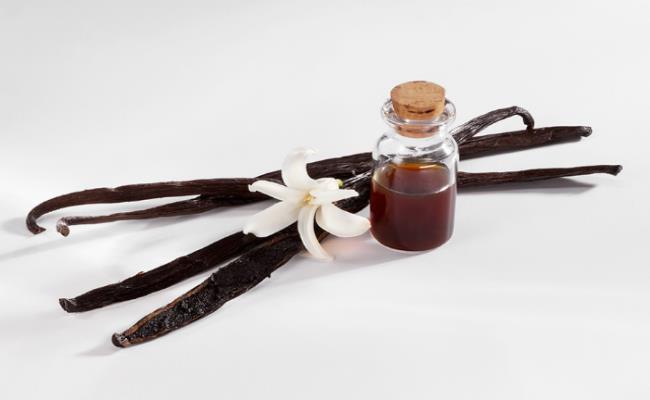 Người nông dân sẽ phải thu hoạch vanilla bằng tay ngay trước khi quả chín, sau đó đem đi xử lý bằng hơi nước, bảo quản 4 tuần trong thùng kín để vanilla lên men.
