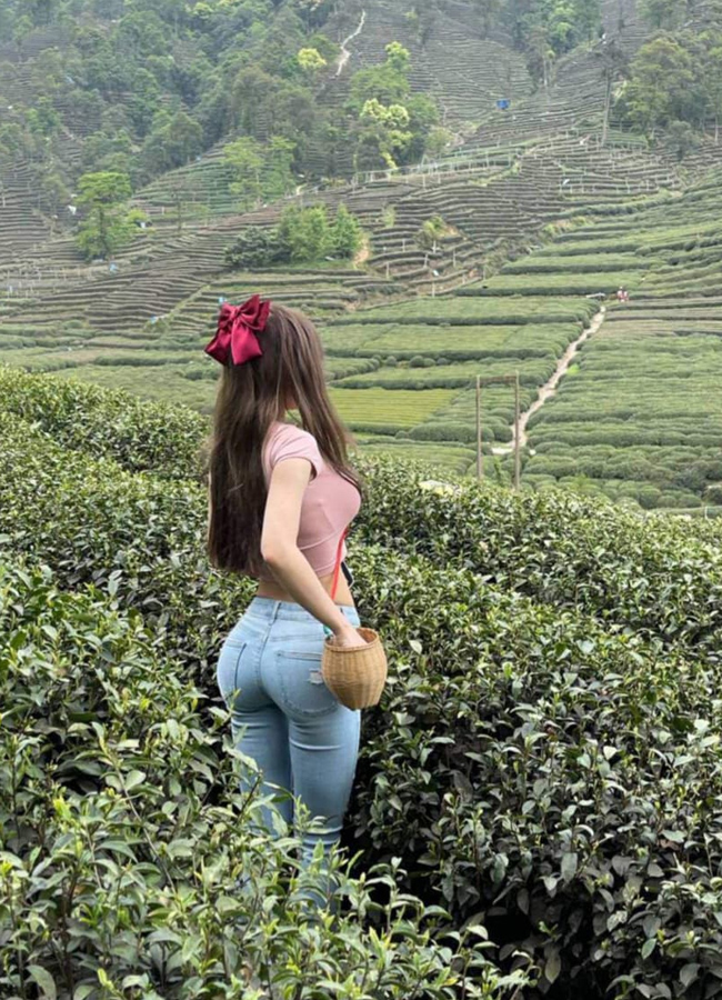 Đi hái chè, mỹ nữ Hàng Châu diện quần jean "độ" dáng hoàn hảo.
