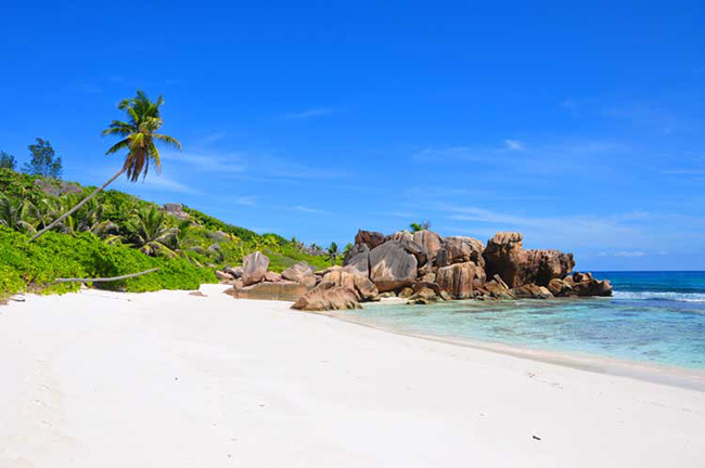 Seychelles là một quần đảo xinh đẹp khác ở Ấn Độ Dương, bao gồm 115 hòn đảo đá granit và san hô. Nơi đây có những khu rừng nhiệt đới với thảm thực vật tươi tốt cùng bãi biển cát trắng ngoạn mục và đại dương xanh ngọc mênh mông. 
