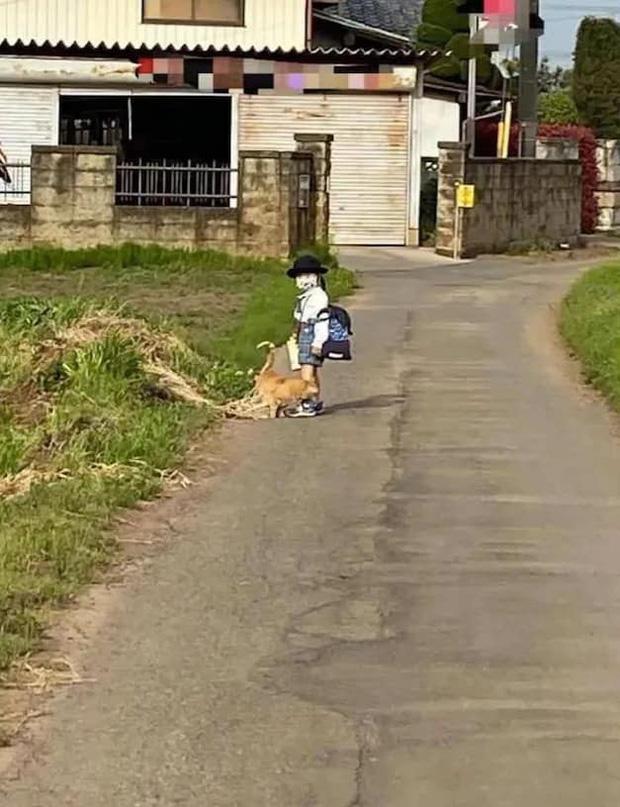 Cậu bé sẽ cưng nựng, vuốt ve nó đến si mê mà quên mất cả thời gian vào lớp.