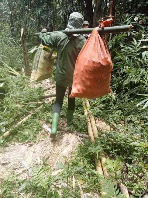 Không chỉ chị Trang mà nhiều hộ gia đình khác cũng rủ nhau lên núi kiếm măng để tăng thu nhập lúc nông nhàn.