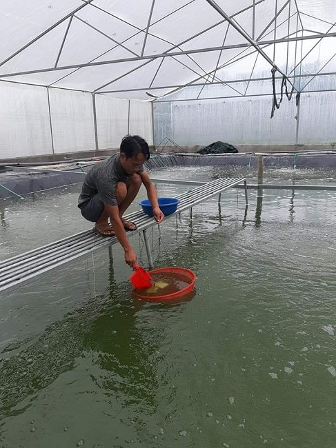 Mô hình nuôi và nhân giống cá chạch lấu của anh Tiến được coi là mô hình lớn nhất miền Bắc.