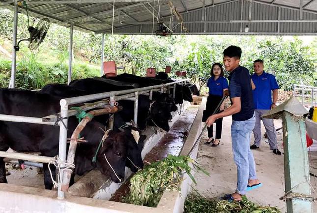 Với số vốn 53 triệu đồng từ Ngân hàng chính sách xã hội huyện Thanh Sơn và vốn từ gia đình, Hợp đầu tư phát triển mô hình VAC (vườn-ao-chuồng).