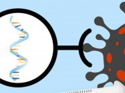 Tin tức trong ngày - Giải mã vắc-xin thế hệ mới mRNA ngừa COVID-19