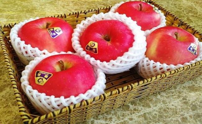 Ngoài dưa thì táo Sekai Ichi cũng là loại trái cây đắt nức tiếng ở Nhật. Quả táo Sekai Ichi có thể nặng tới 1kg và được bán với giá khoảng 21 USD (483 nghìn đồng)/quả.

