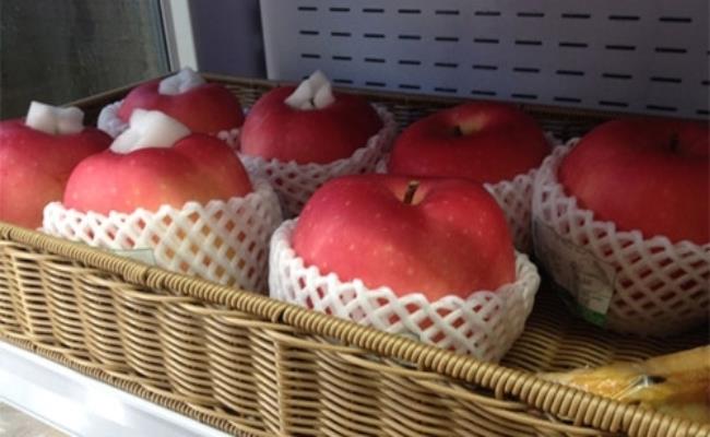 Trong khi tất cả giống táo khác trên thế giới đều được áp dụng quy trình trồng, chăm sóc, thu hoạch... bằng máy móc thì táo Sekai Ichi có quá trình nuôi trồng hoàn toàn thủ công. Khi ra hoa, toàn bộ vườn táo được thụ phấn bằng tay.
