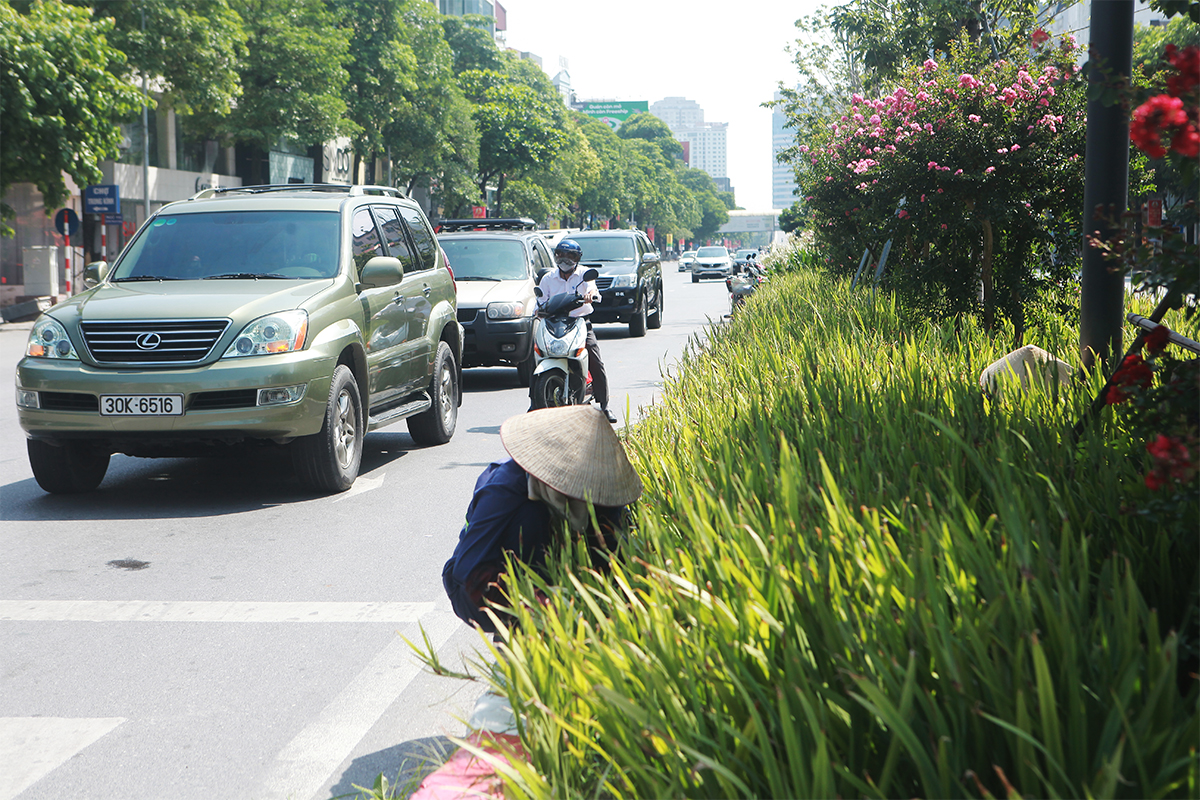 Những nhân viên chăm sóc cây xanh vẫn làm việc bình thường trên phố Trần Duy Hưng (quận Cầu Giấy) trong những ngày giãn cách.