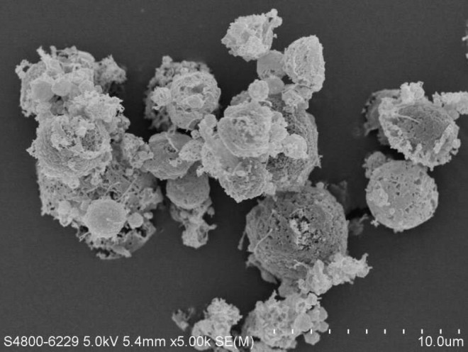 Hình ảnh SEM của công thức bột tamibarotene hít ở độ phóng đại x 5000.&nbsp;