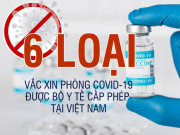 Tin tức trong ngày - Infographic: 6 loại vắc xin phòng COVID-19 được cấp phép tiêm tại Việt Nam