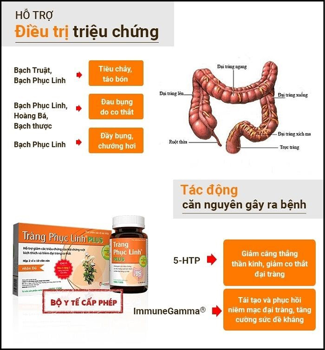 Thoát bệnh đại tràng nhờ thảo dược quý - 3