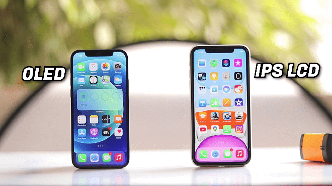 iPhone 11 chỉ có màn hình LCD, viền màn hình cũng dày hơn.