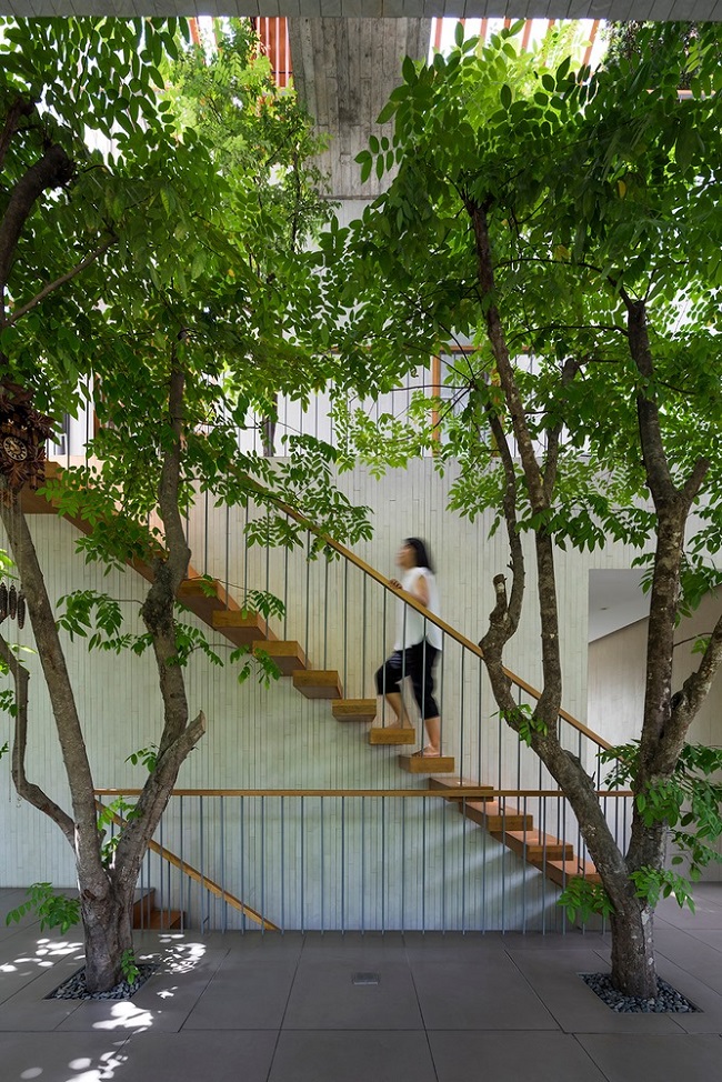 Trước đó, ngôi nhà cũng đoạt giải DFA Design for Asia Awards 2020, Dezeen Awards 2019 và FuturArc Green Leadership Award 2019. (Ảnh: Hiroyuki Oki)
