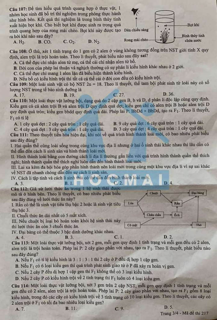 Đề thi môn sinh học tốt nghiệp THPT 2021 đợt 2 - 4