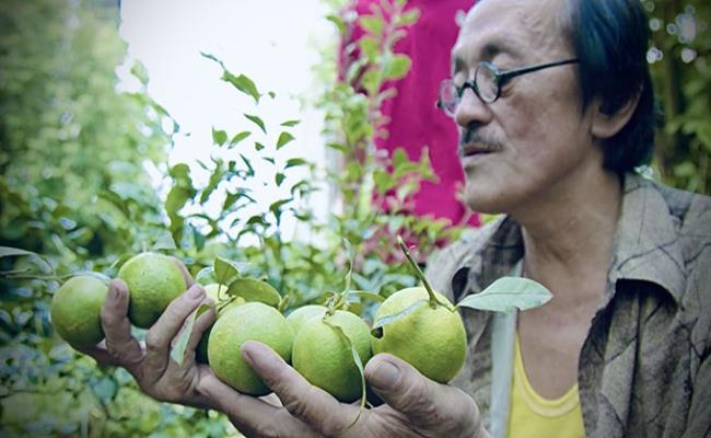 Tự tay anh trồng từng cây giống, đặt từng viên gạch lát cho sân vườn. Nam nghệ sĩ dành khá nhiều thời gian để chăm chút cho “góc riêng” của gia đình mình.&nbsp;
