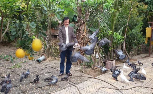 Nam diễn viên hài từng cho biết, nhà anh nuôi khoảng gần 100 con chim bồ câu. Không gian hòa hợp với thiên nhiên cùng nhiều loài động vật đem lại cảm giác vô cùng thư giãn.
