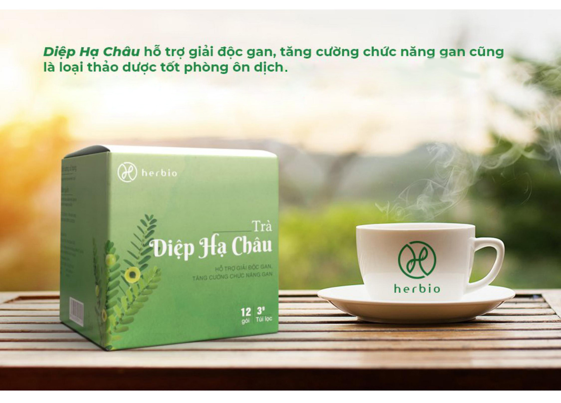 Nâng cao đề kháng trong mùa dịch bằng trà từ dược liệu quý - 9