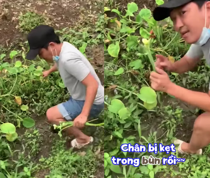 Anh hái rau, chân bị kẹt trong bùn luôn