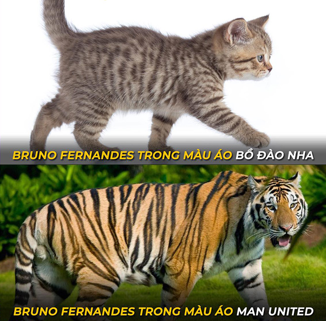 Hình ảnh trái ngược của Bruno Fernandes trong màu áo đội tuyển và MU.