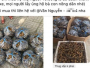 Thị trường - Tiêu dùng - Không dám đến siêu thị, bà nội trợ vẫn đủ món ngon, bổ, rẻ nhờ những nguồn hàng này