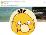 Công nghệ thông tin - Vì sao nhiều người đổi ảnh đại diện vịt vàng Psyduck trên Facebook?