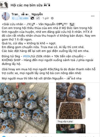 Một bài "giải cứu" nhãn được đăng tải trong hội cư dân CT7, khu đô thị mới Dương Nội với giá "hỗ trợ" chỉ 45.000 đồng/5kg. Bằng cách "tận dụng" hàng giải cứu, hàng mua chung này, chị Thúy cùng nhiều bà nội trợ khác tại Dương Nội vừa có được hàng ngon, bổ, rẻ, vừa đảm bảo an toàn trước dịch. Ảnh: NVCC