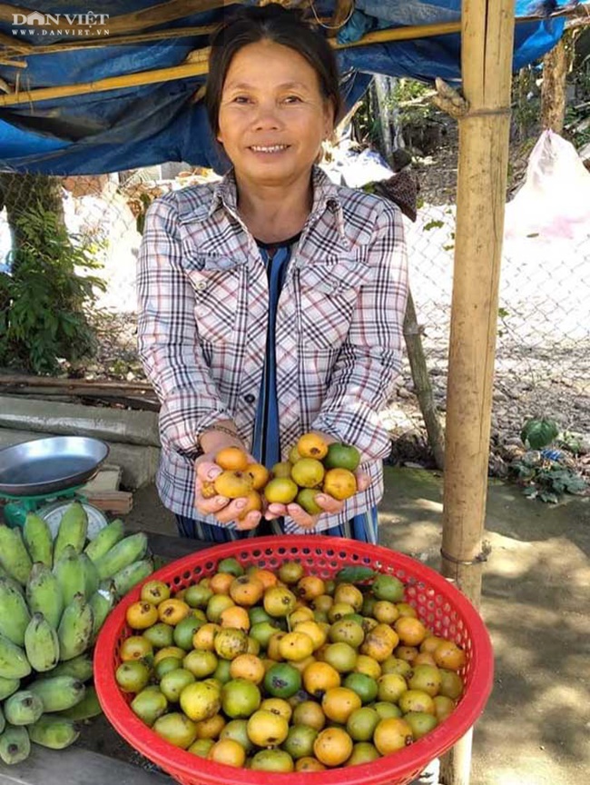 Với quan niệm, quả mọc trong tự nhiên, sạch nên khách hàng khắp nơi lại càng lùng mua về ăn.
