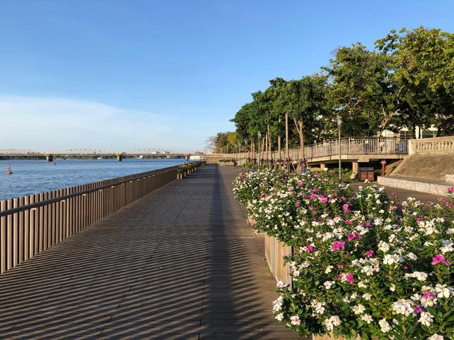 Cầu gỗ lim - điểm check in, tham quan cảnh đẹp sông Hương giờ không một bóng người