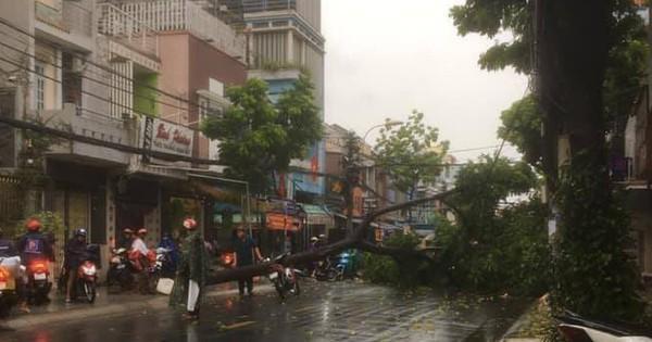 Cơ quan khí tượng khuyến cáo, Nam Bộ sắp bước vào cao điểm của mùa mưa, cần đề phòng hiện tượng dông, lốc sét và gió giật mạnh.