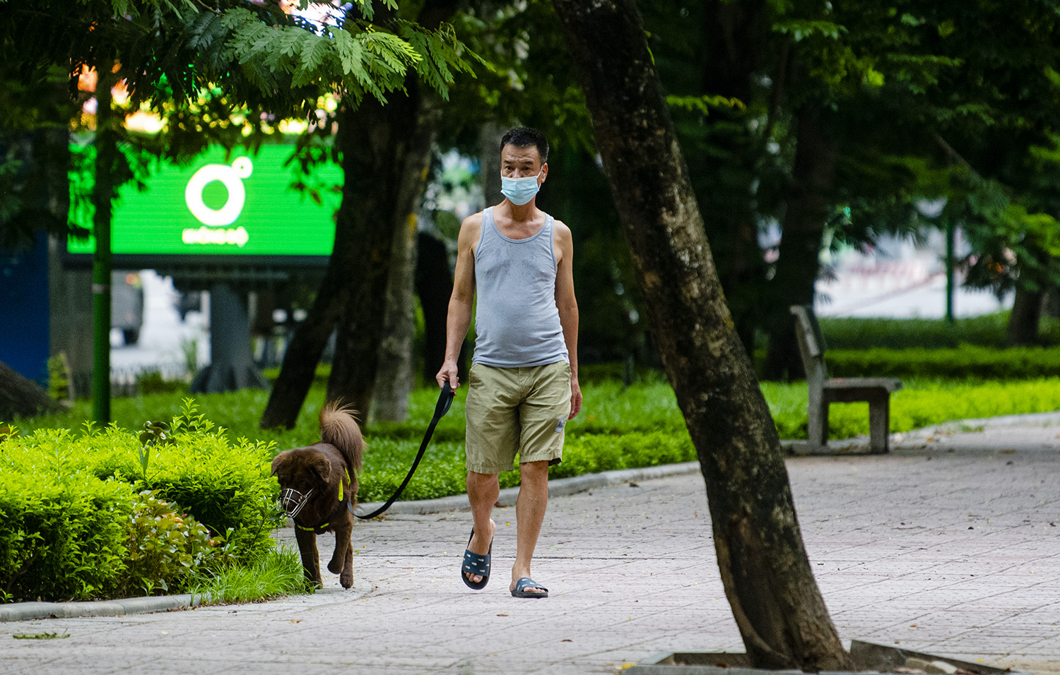 Một người đàn ông vô tư dắt chó đi dạo trong công viên