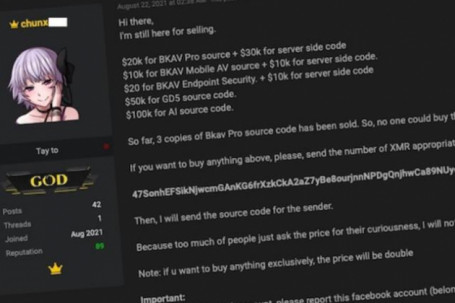 Hacker tấn công BKAV tiết lộ số tiền kiếm được: "Khủng" hơn dự đoán