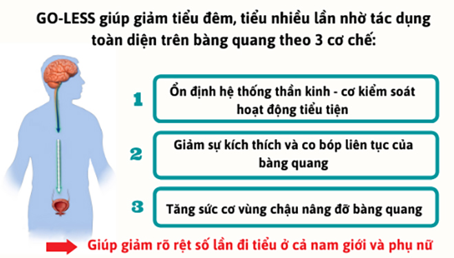 Dấu hiệu tiểu nhiều lần cả ngày lẫn đêm cảnh báo bàng quang bị bệnh này, phòng tránh sớm kẻo ân hận - 4