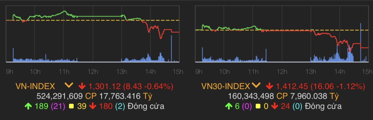 VN-Index giảm 8,43 điểm (0,64%) xuống 1.301,12 điểm.