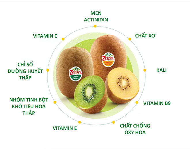 Trên thị trường hiện nay, siêu quả kiwi Zespri là sản phẩm được ưa chuộng khi chứa tới hơn 20 loại vitamin và khoáng chất có lợi cho sức khỏe.