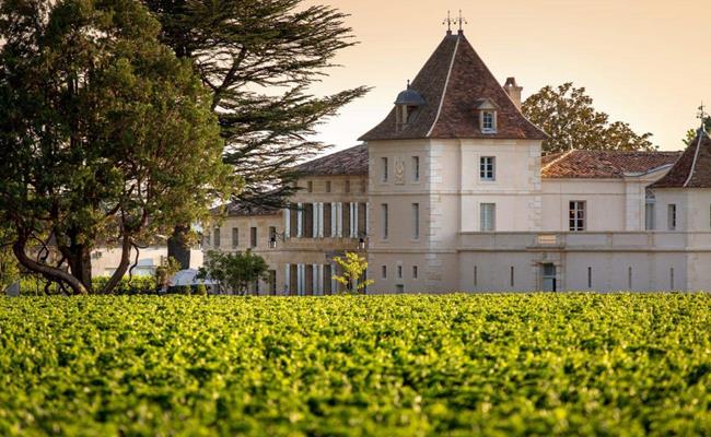 Năm 2011, vợ chồng Triệu Vy mua nông trại Chateau Monlot ở vùng Saint-Emilion nước Pháp.
