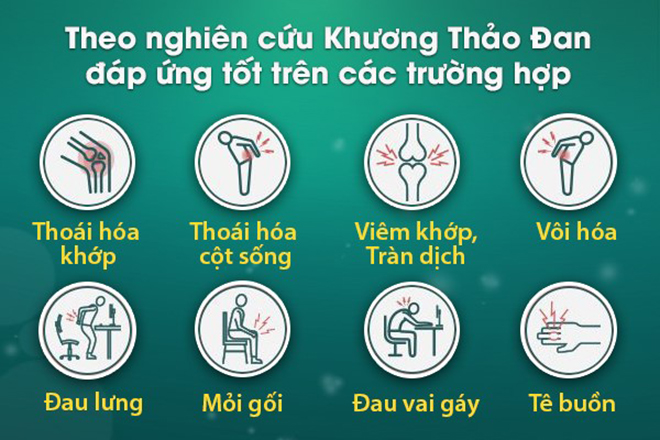 Lý do Khương Thảo Đan hiệu quả với thoái hóa khớp, đau nhức mãi không yên! - 3