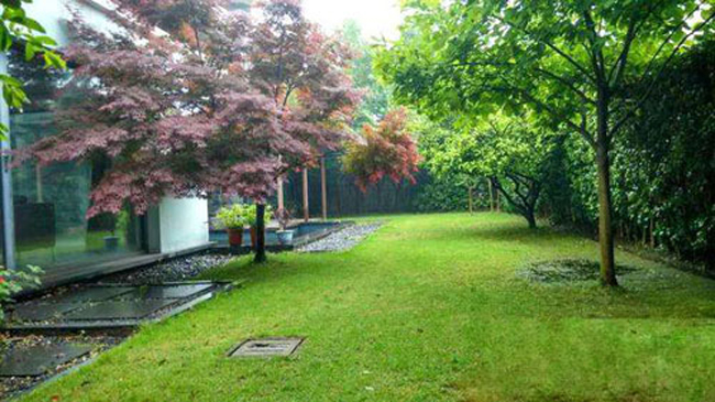 Một góc vườn trong biệt thự ở Trung Quốc của vợ chồng nữ diễn viên.
