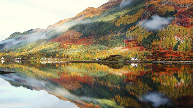 Cao nguyên - Scotland: Tuy du khách thường hay tới đây vào mùa hè, nhưng&nbsp;sắc vàng từ những chiếc lá cũng là một cảnh tượng không thể bỏ qua ở nơi này.
