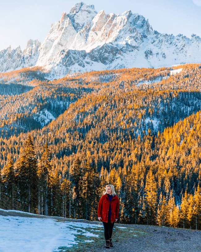 Tán lá mùa thu ở Dolomites - Ý: Những rừng cây thông rụng lá rất phổ biến ở Dolomites và từ đầu tháng 10, bạn có thể thấy chúng chuyển sang màu vàng và cam, thật rực rỡ.&nbsp;
