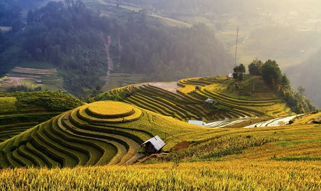 Indonesia: Quốc gia Đông Nam Á này được thiên nhiên ban tặng rừng nhiệt đới, núi lửa, những hòn đảo ngoạn mục và nhiều di sản phong phú. Indonesia sẽ khiến du khách cảm thấy ấm áp bởi sự thân thiện của những người dân.&nbsp;
