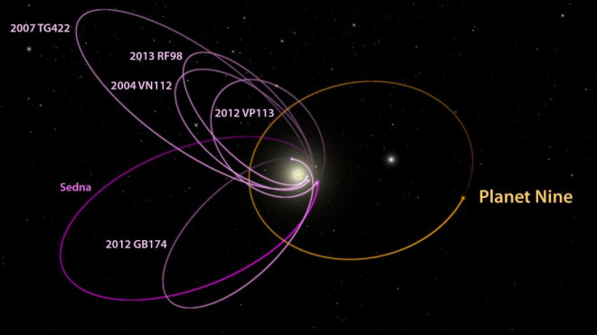 Bản đồ quỹ đạo của hành tinh thứ 9 (Planet Nine, màu vàng và một số vật thể ở vùng xa xôi của hệ Mặt Trời - Ảnh: Caltech