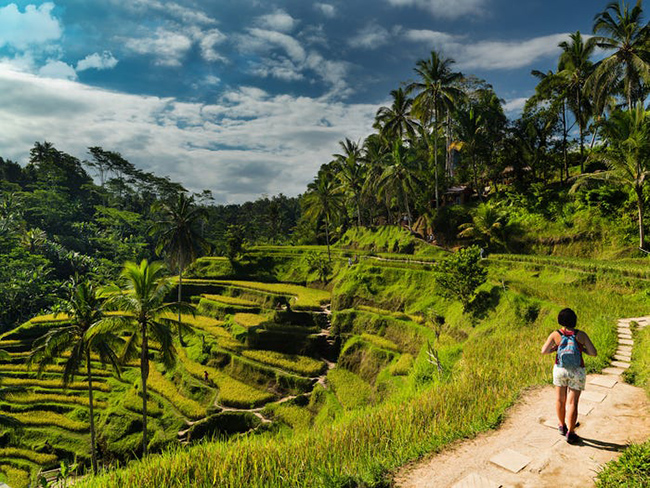 Tegalalang Rice Terrace ở Indonesia mang đến cảnh quan xanh tươi đầy sức sống với những ruộng lúa bậc thang mà nông dân ở đây sử dụng một hệ thống tưới tiêu đã được truyền qua nhiều thế kỷ.&nbsp;
